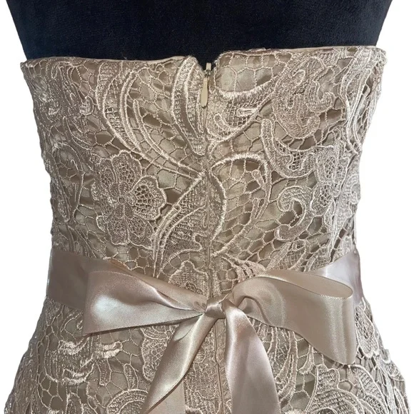Adrianna Papell Boutique Women’s Sheath Dress Champagne Lace Over Lay Size 8 - Picture 8 of 10